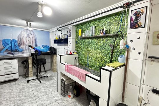 Porão de casa para alugar com 2 quartos, 100m² em Vila Príncipe de Gales, Santo André