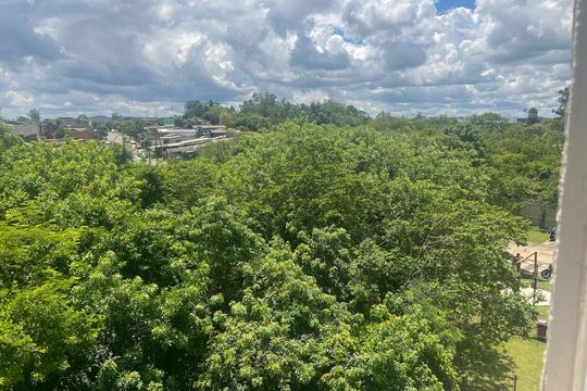 Vista de apartamento para alugar com 2 quartos, 41m² em Nova Esperança, Cachoeirinha