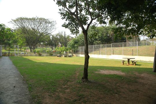 Área comum - espaço Pet  de apartamento à venda com 2 quartos, 48m² em Bairro dos Casa, São Bernardo do Campo