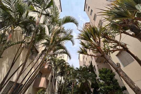 Fachada interna frente de apartamento para alugar com 3 quartos, 60m² em Vila Inglesa, São Paulo
