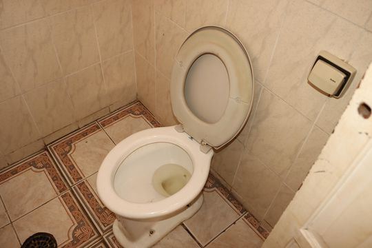 Banheiro externo de casa para alugar com 3 quartos, 126m² em Vila Margarida, São Paulo