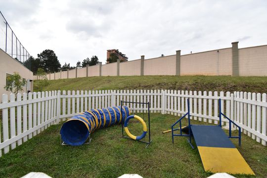 Área comum - Pet de apartamento para alugar com 2 quartos, 80m² em Bairro Alto, Curitiba