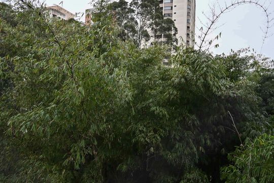 Vista do Quarto 2 de apartamento para alugar com 2 quartos, 76m² em Chácara Agrindus, Taboão da Serra