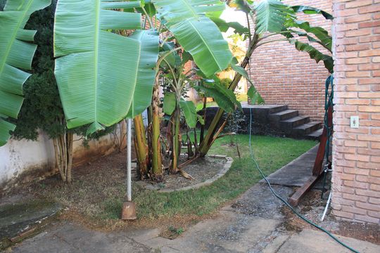 Quintal / Área verde de casa para alugar com 3 quartos, 361m² em Belvedere, Belo Horizonte