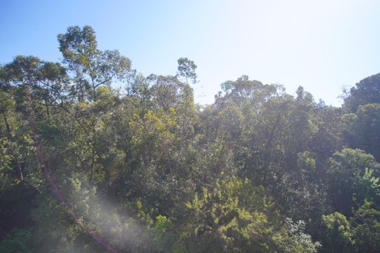 Vista do Quarto 2 de apartamento à venda com 2 quartos, 48m² em Canudos, Novo Hamburgo