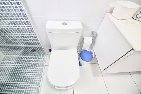 Banheiro 1 de casa para alugar com 3 quartos, 120m² em Vila Nhocuné, São Paulo