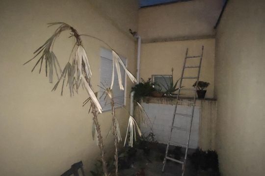 Área de Serviço de casa para alugar com 4 quartos, 170m² em Centro, São Caetano do Sul