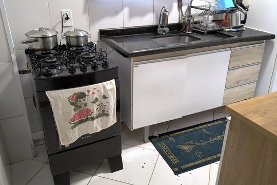 Cozinha de apartamento à venda com 2 quartos, 54m² em Parque Sao Vicente, Santo André