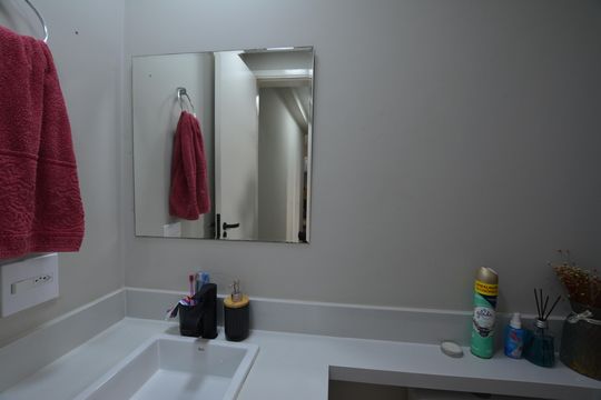 BANHEIRO de apartamento para alugar com 2 quartos, 51m² em Vila Butantã, São Paulo