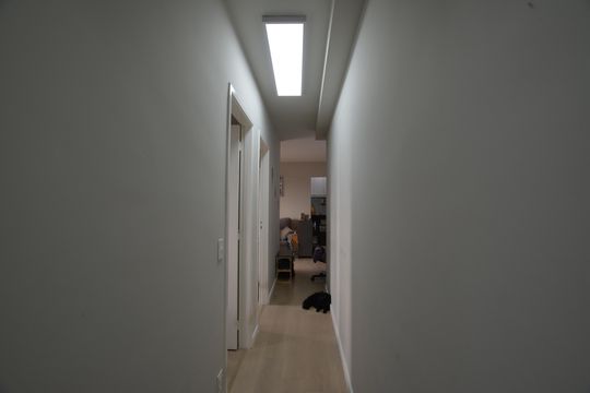 CORREDOR de apartamento para alugar com 2 quartos, 51m² em Vila Butantã, São Paulo