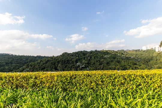 Área comum de apartamento para alugar com 1 quarto, 50m² em Tamboré, Santana de Parnaíba