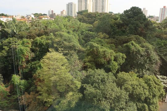 Kitnet/Studio para alugar com 1 quarto, 23m² em Vila Ema, São Paulo