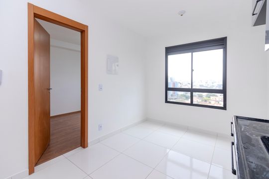 Sala/ Cozinha de apartamento para alugar com 1 quarto, 24m² em Vila das Belezas, São Paulo
