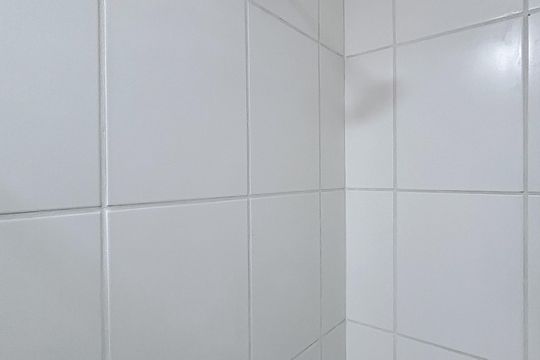 Banheiro de apartamento para alugar com 2 quartos, 34m² em Vila Esperança, São Paulo