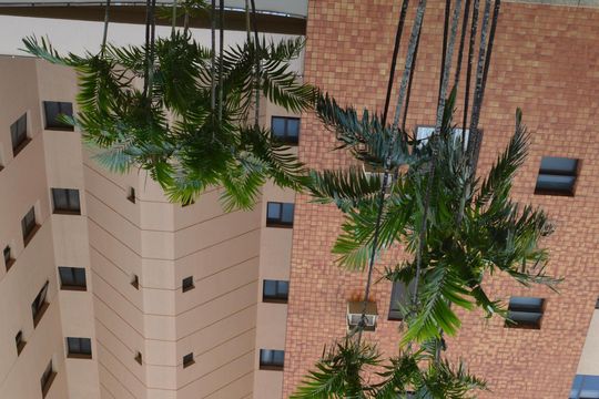 Apartamento para alugar com 3 quartos, 155m² em Jardim Irajá, Ribeirão Preto