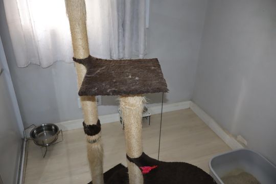 Quarto 1 de apartamento para alugar com 2 quartos, 45m² em Jardim Ibitirama, São Paulo