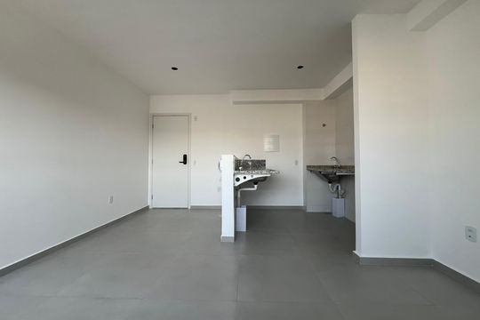 Sala/Cozinha de kitnet/studio para alugar com 1 quarto, 24m² em Nova Suíça, Belo Horizonte