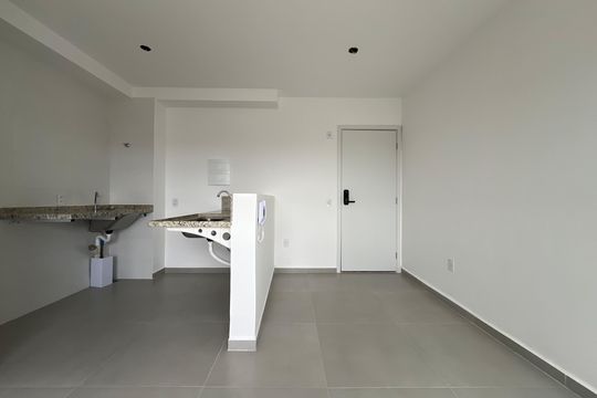 Cozinha/Sala de kitnet/studio para alugar com 1 quarto, 24m² em Nova Suíça, Belo Horizonte