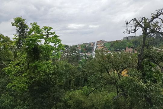 Apartamento para alugar com 2 quartos, 58m² em Jardim Belizário, Cotia