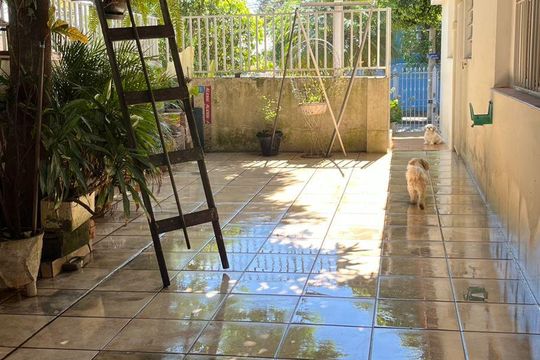Área externa de casa à venda com 3 quartos, 389m² em Vila Santo Antonio, Valinhos