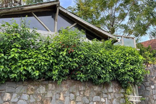Fachada de casa para alugar com 2 quartos, 322m² em Sambaqui, Florianópolis
