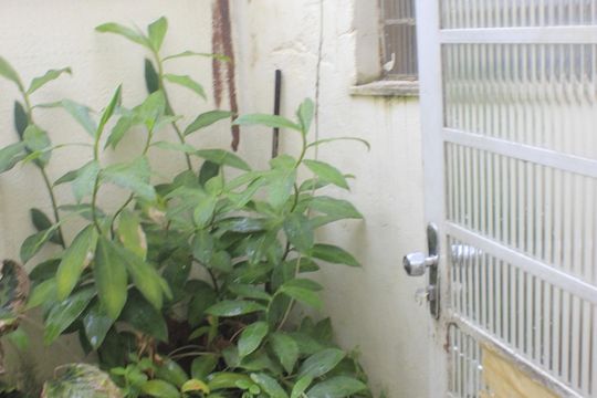 Jardim de inverno  de casa à venda com 3 quartos, 277m² em Vila Galvão, Guarulhos