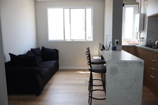 Apartamento para alugar com 2 quartos, 40m² em Vila Graciosa, São Paulo