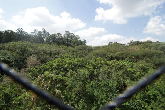 Vista de apartamento para alugar com 3 quartos, 64m² em City América, São Paulo