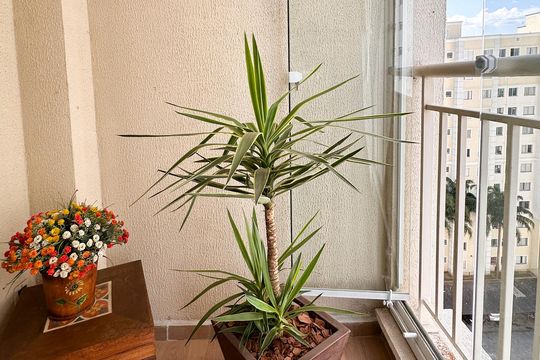 Sacada de apartamento à venda com 3 quartos, 74m² em Planalto, São Bernardo do Campo