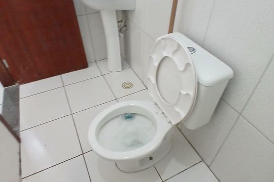 Banheiro de casa para alugar com 2 quartos, 65m² em São José do Rio Preto, Praia Grande