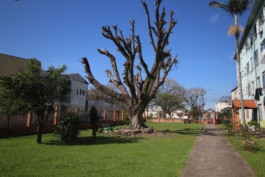 Área comum de apartamento para alugar com 1 quarto, 59m² em Rubem Berta, Porto Alegre