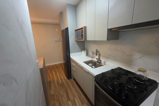 Apartamento à venda com 3 quartos, 62m² em Usina Piratininga, São Paulo
