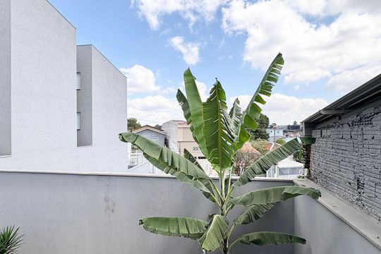 Vista do Quarto de apartamento para alugar com 1 quarto, 50m² em Vila Mangalot, São Paulo