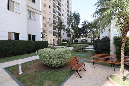 Área comum  de apartamento para alugar com 2 quartos, 49m² em Vila Anastácio, São Paulo