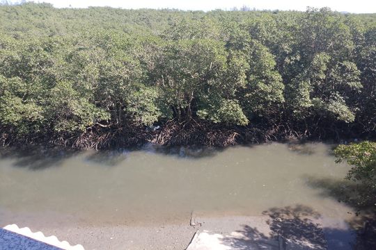 Vista de apartamento para alugar com 2 quartos, 35m² em Guaratiba, Rio de Janeiro