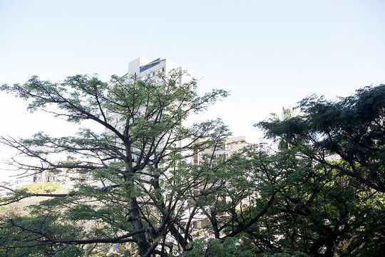 Cozinha Vista de kitnet/studio para alugar com 1 quarto, 24m² em Centro Histórico, Porto Alegre