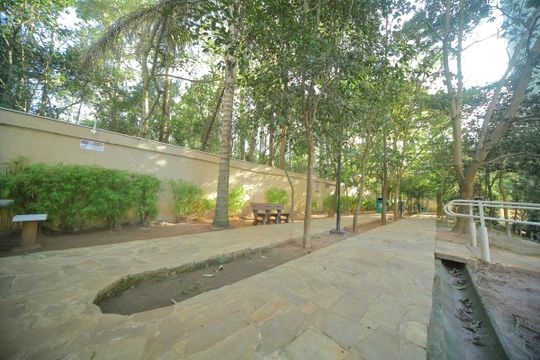 Área comum - Área verde  de apartamento para alugar com 2 quartos, 60m² em Planalto, São Bernardo do Campo