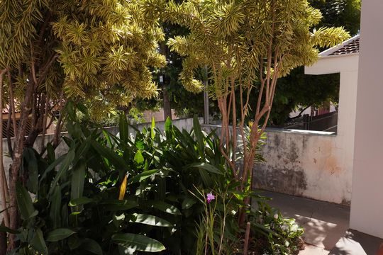 Garagem - Jardim de casa para alugar com 2 quartos, 101m² em Cidade Jardim, São Carlos