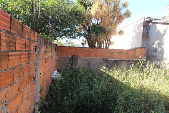 quintal fundo de casa para alugar com 4 quartos, 280m² em Vila Marieta, São Paulo