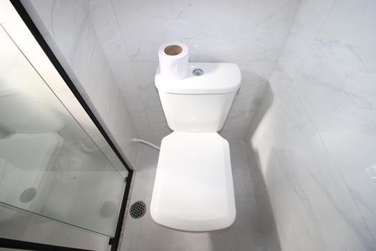 Banheiro de apartamento para alugar com 2 quartos, 60m² em Cidade Antônio Estêvão de Carvalho, São Paulo