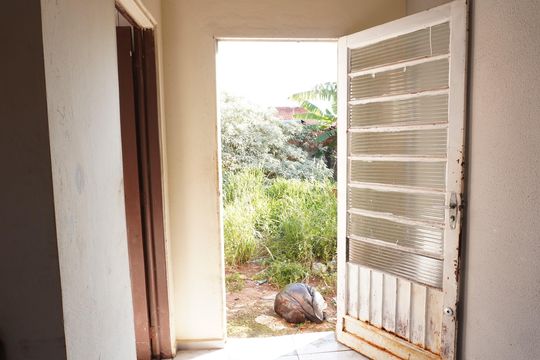 Quintal de casa para alugar com 2 quartos, 40m² em Cidade Aracy, São Carlos