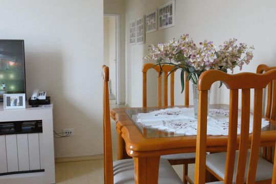 Sala de apartamento para alugar com 2 quartos, 42m² em Pedreira, São Paulo