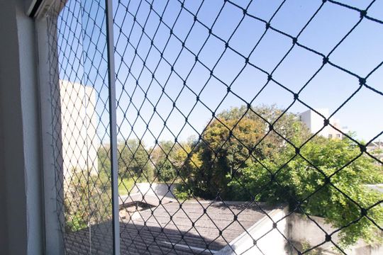 Vista do Quarto 1 de apartamento para alugar com 2 quartos, 60m² em Pedro Moro, São José dos Pinhais