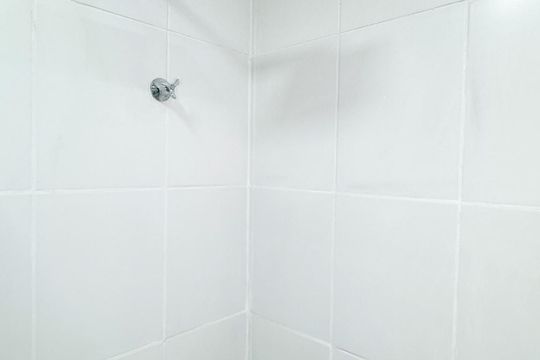 Banheiro de apartamento para alugar com 2 quartos, 45m² em Várzea de Baixo, São Paulo