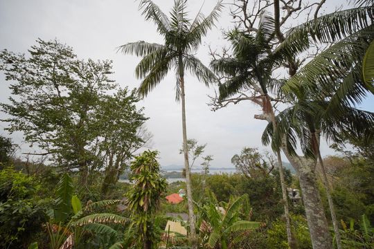 Vista da Varanda do Quarto 3 de casa para alugar com 4 quartos, 150m² em Lagoa da Conceição, Florianópolis