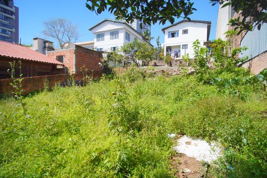 Área externa de casa à venda com 2 quartos, 330m² em Ouro Branco, Novo Hamburgo