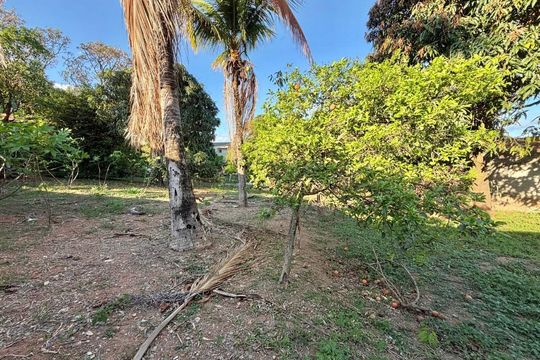 Quintal de casa para alugar com 3 quartos, 1000m² em Bom Sossego, Ribeirão das Neves