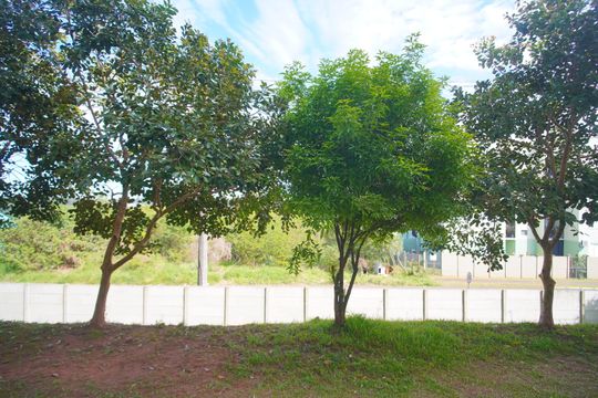 Vista do quarto 2 de apartamento para alugar com 2 quartos, 60m² em Duque de Caxias, São Leopoldo