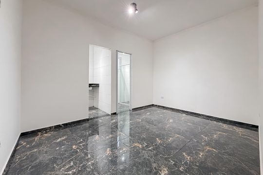 Kitnet/Studio para alugar com 1 quarto, 30m² em Cambuci, São Paulo