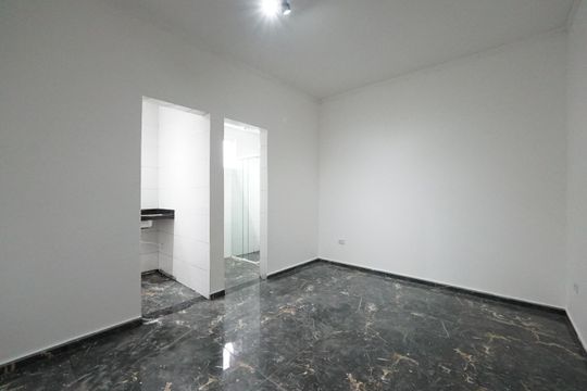 Kitnet de kitnet/studio para alugar com 1 quarto, 50m² em Cambuci, São Paulo